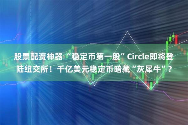 股票配资神器 “稳定币第一股”Circle即将登陆纽交所！千亿美元稳定币暗藏“灰犀牛”？